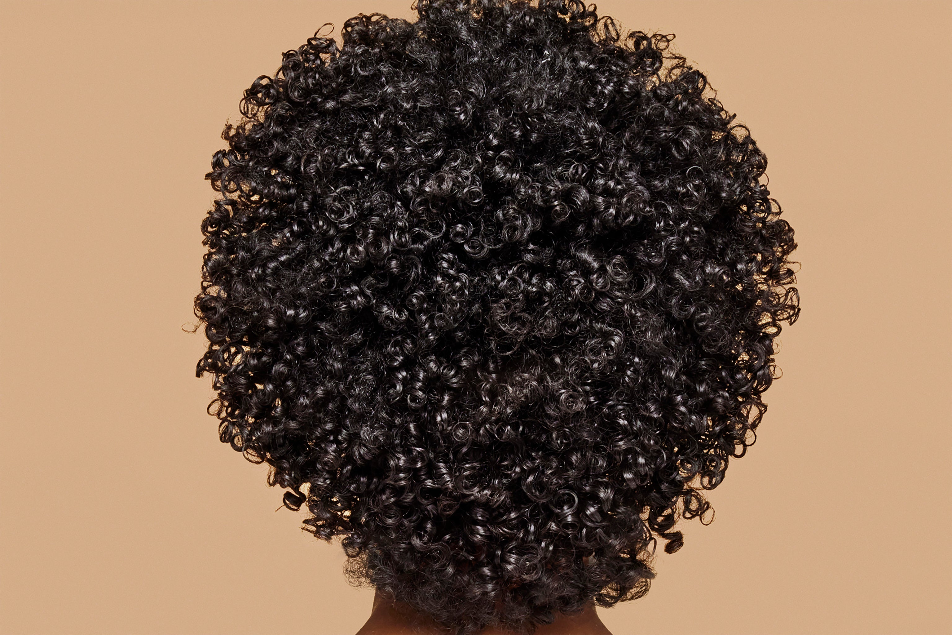 Curl Recovery® Whipped Curls® Daily Conditioner & Styling Primer After